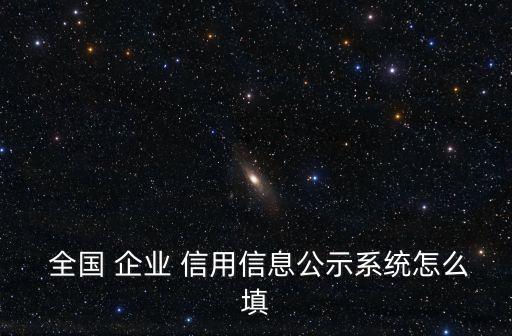  全國 企業 信用信息公示系統怎么填