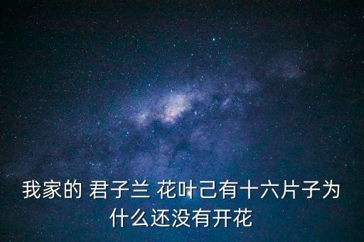 花葉君子蘭,養護方法得當君子蘭開花延遲可能是因為缺氮肥