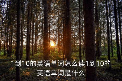 five的音標,數碼精選（一）:數碼寶貝!