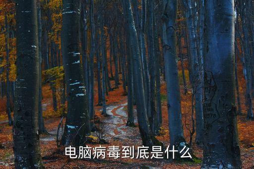 電腦病毒是什么,非駐留病毒激活時不受影響