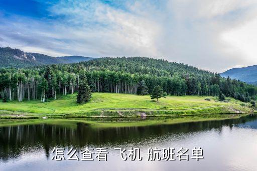 飛機航班信息查詢,航空公司網站查詢電子客票可查詢航班列表