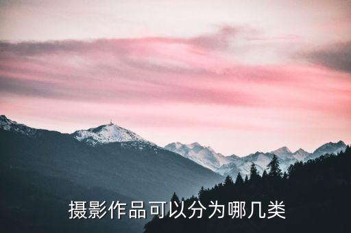  攝影作品可以分為哪幾類