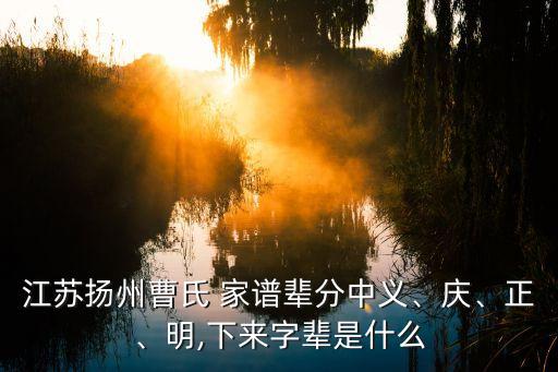 曹姓家譜,老族譜序分表:曹氏家譜又名曹成