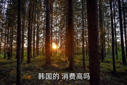  韓國的 消費高嗎