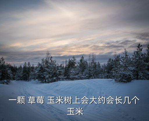 一顆 草莓 玉米樹上會大約會長幾個 玉米