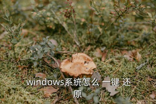 windows一鍵還原,win7自帶一鍵還原系統啟動步驟: