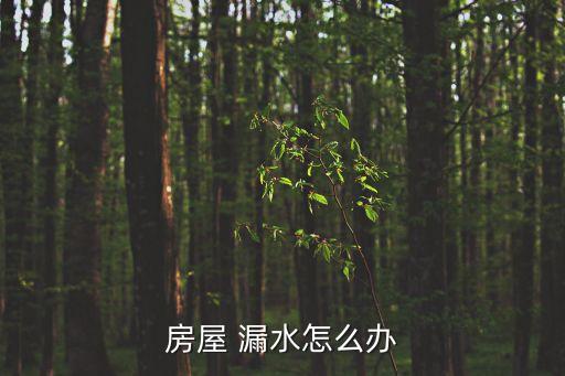 房屋 漏水怎么辦