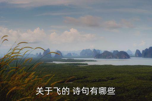 關于飛的 詩句有哪些