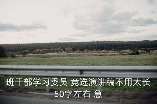 競選學習委員演講稿，班干部學習委員 競選演講稿不用太長50字左右 急
