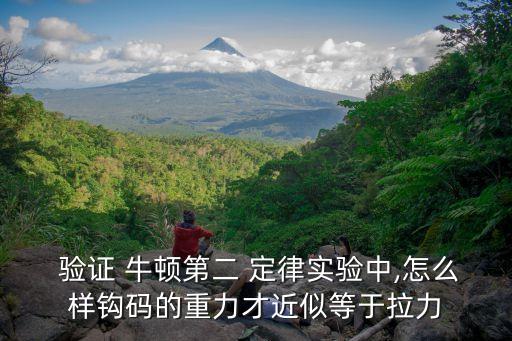 驗證牛頓第二定律
