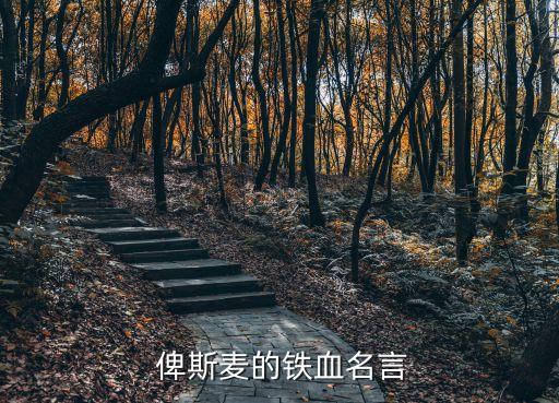  俾斯麥的鐵血名言