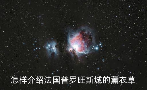法國(guó)薰衣草，法國(guó)哪有薰衣草
