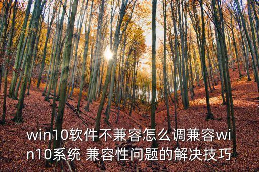 win10軟件不兼容怎么調兼容win10系統 兼容性問題的解決技巧