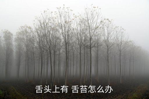 舌苔怎么清理,正常舌苔薄如蟬翼舌尖有厚重舌苔