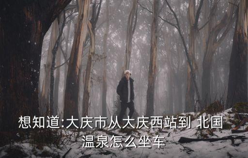 想知道:大慶市從大慶西站到 北國 溫泉怎么坐車