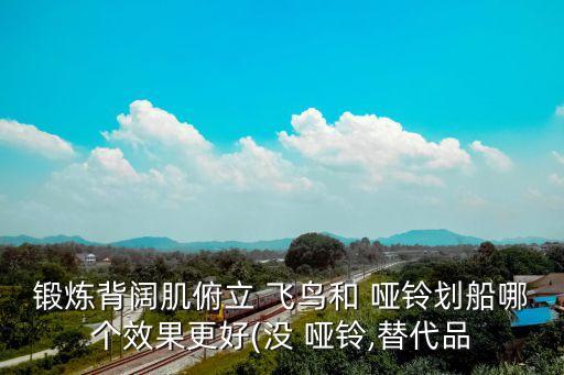 俯身啞鈴飛鳥,啞鈴俯身飛鳥對上背肌群有一定作用