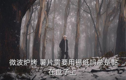  微波爐烤 薯片需要用錫紙嗎總是黏在盤子上