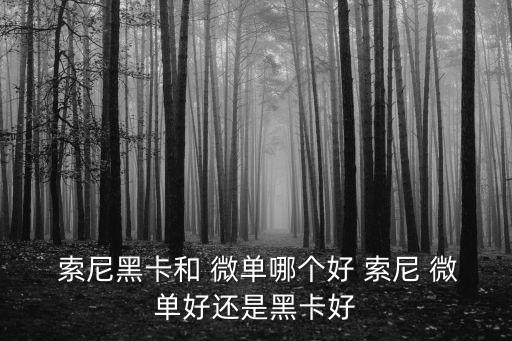  索尼黑卡和 微單哪個(gè)好 索尼 微單好還是黑卡好