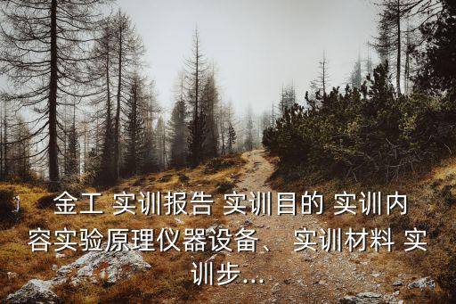  金工 實訓報告 實訓目的 實訓內容實驗原理儀器設備、 實訓材料 實訓步...