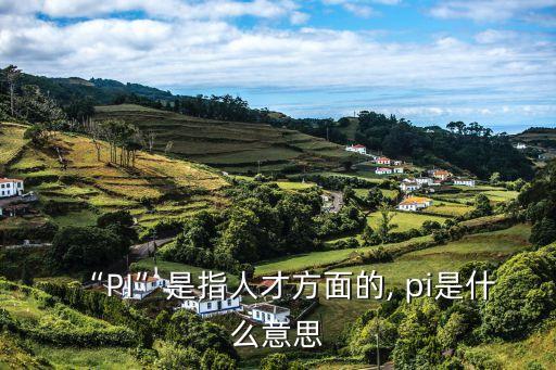 pi什么意思,英國牛頭人隊pi用于支付貨款或預(yù)付款