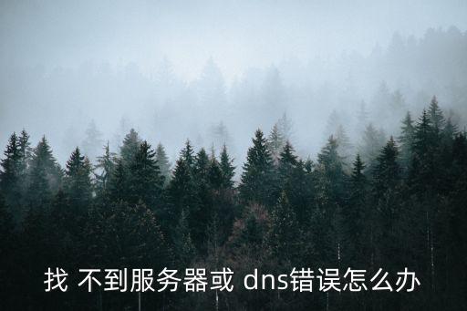 找 不到服務(wù)器或 dns錯(cuò)誤怎么辦