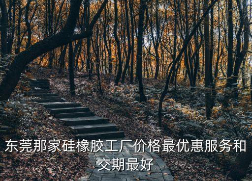 東莞那家硅橡膠工廠價格最優惠服務和交期最好
