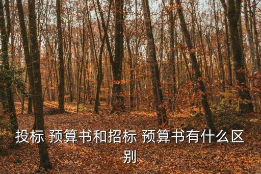 投標(biāo) 預(yù)算書和招標(biāo) 預(yù)算書有什么區(qū)別