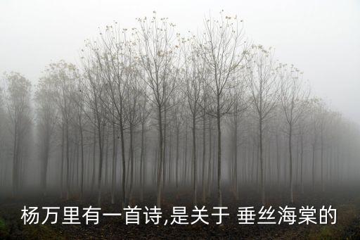 楊萬里有一首詩,是關于 垂絲海棠的