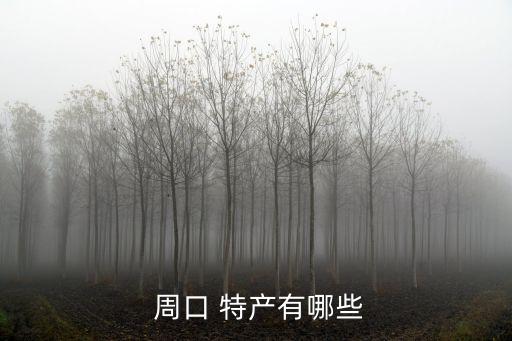  周口 特產(chǎn)有哪些