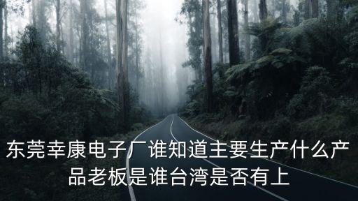 東莞幸康電子廠誰知道主要生產什么產品老板是誰臺灣是否有上