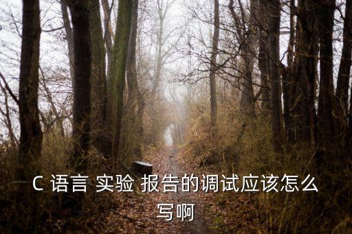c語言實驗報告,如果程序要求句塊至少執(zhí)行一次最好使用語句塊