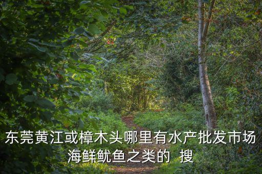 東莞黃江或樟木頭哪里有水產(chǎn)批發(fā)市場海鮮魷魚之類的  搜