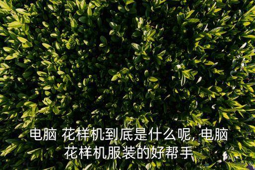 電腦花樣機,這些東西!電腦花樣機器有哪些?