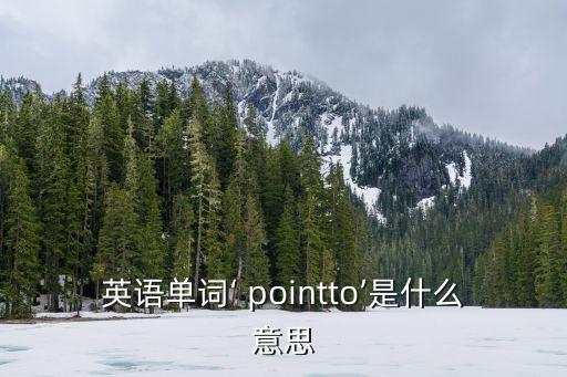 point是什么意思,武漢出現(xiàn)確診病例湖北出現(xiàn)第一起病例