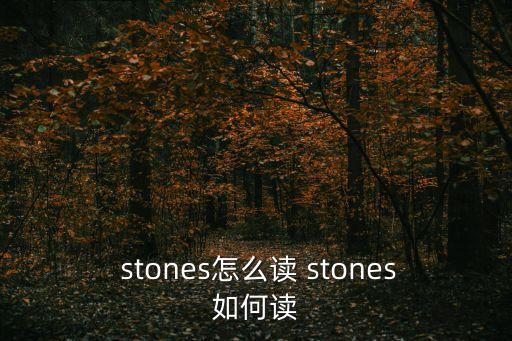  stones怎么讀 stones如何讀