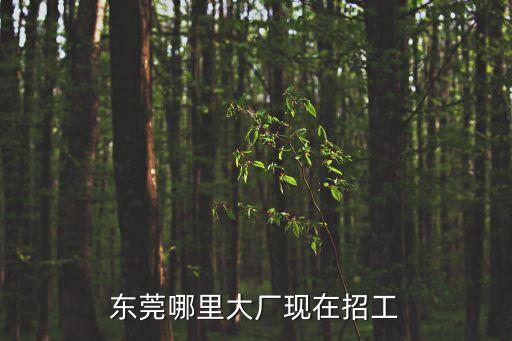 東莞哪里大廠現(xiàn)在招工