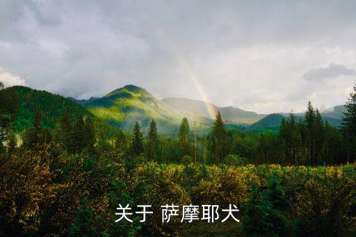 小薩摩耶,怎么養薩摩ye?