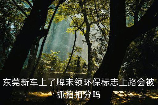 東莞新車上了牌未領環保標志上路會被抓拍扣分嗎