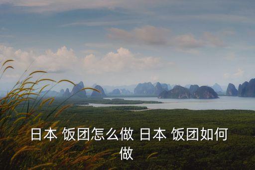  日本 飯團(tuán)怎么做 日本 飯團(tuán)如何做
