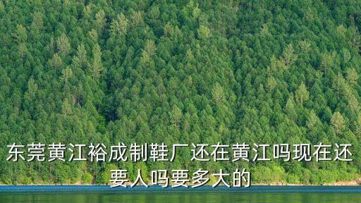 東莞黃洞嘉利廠，東莞黃江裕成制鞋廠還在黃江嗎現在還要人嗎要多大的