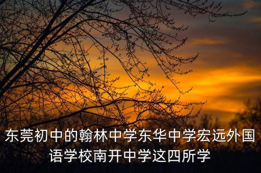 東莞翰林學(xué)校招生電話，東莞翰林實(shí)驗(yàn)學(xué)校