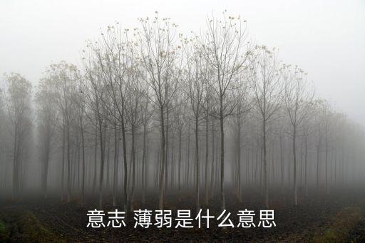 薄弱的意思,選戰失敗法西斯精神蕩然無存