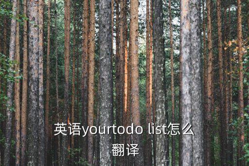 英語(yǔ)yourtodo list怎么 翻譯