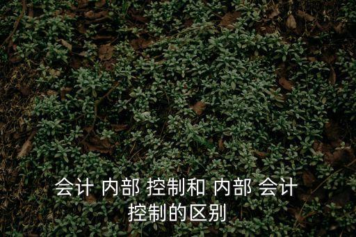 內部會計控制規范,第四條:會計內部控制即會計核算