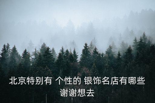 個性銀飾,什么是酷銀飾你敢試嗎?