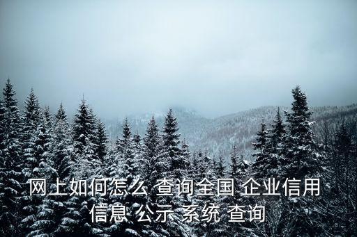 網上如何怎么 查詢全國 企業信用 信息 公示 系統 查詢