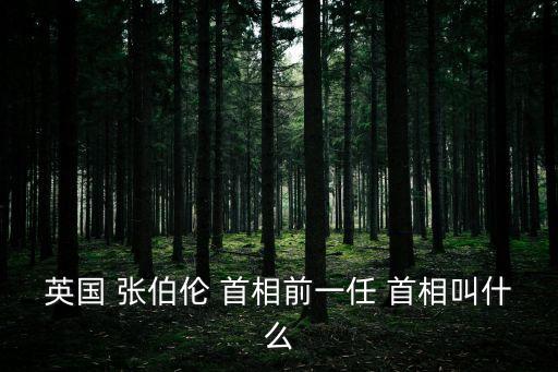 張伯倫首相,不滿政府沒批準張伯倫繼續(xù)任相英民調:反常態(tài)!