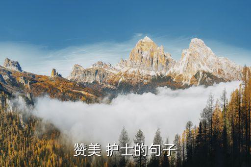 贊美 護士的句子