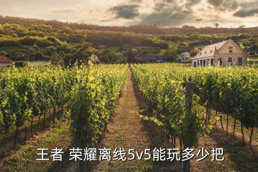 王者榮耀游戲機,王者榮耀如何定位偏僻地方?