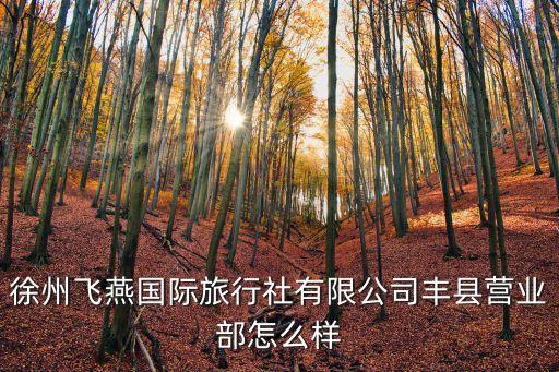 孟慶民,徐州振飛國際旅行社有限公司奉賢門市部已開業